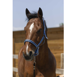 Capezzina Norton Satine Azzurro cielo / nero Blu Capezzina Norton Satine Azzurro cielo / nero Blu