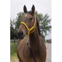 Capezzina Norton Satine Miele Giallo