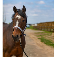 Capestro Equithème Nylon Check Marina / marrone Blu Capestro Equithème Nylon Check Marina / marrone Blu