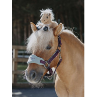 Tiny Pony LeMieux Harlow Nuvoloso