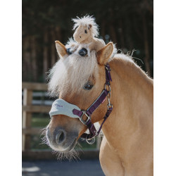 Tiny Pony LeMieux Harlow Nuvoloso