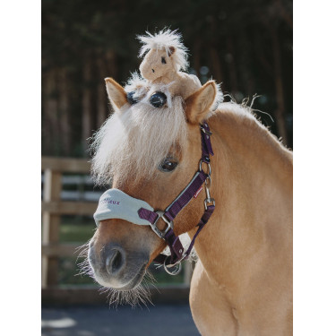 Tiny Pony LeMieux Harlow Nuvoloso