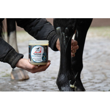 Gel rinfrescante Leovet Cellsius Gel rinfrescante Leovet Cellsius