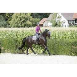 Cuffia antimosche LeMieux Signature Grigio
