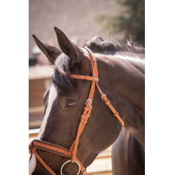 Briglia Pénélope Elegance Cognac Marrone