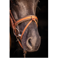 Briglia Pénélope Elegance Cognac Marrone