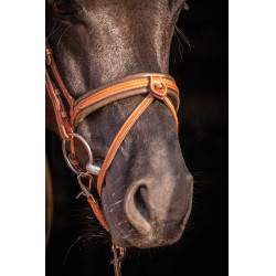 Briglia Pénélope Elegance Cognac Marrone