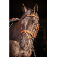 Briglia Pénélope Elegance Cognac Marrone