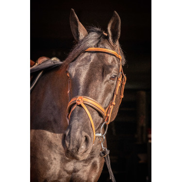 Briglia Pénélope Elegance Cognac Marrone