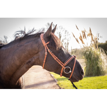 Briglia Pénélope Elegance Cognac Marrone