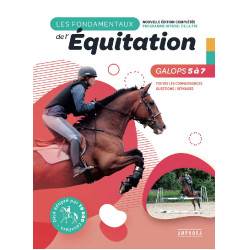 I fondamenti Galoppi 5 a 7