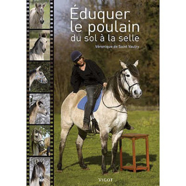 Educare il puledro da terra alla sella Educare il puledro da terra alla sella