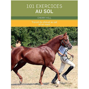 101 esercizi da terra 101 esercizi da terra