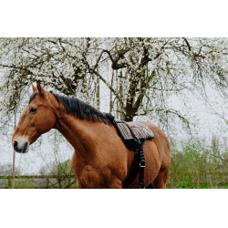 Tappeto da equitazione a pelo Norton Kiowa