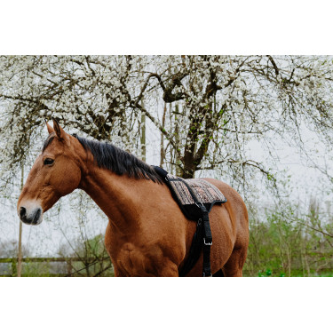 Tappeto da equitazione a pelo Norton Kiowa