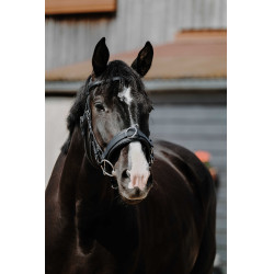 Cavezzone largo Norton Nero Cavezzone largo Norton Nero