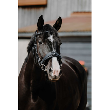 Cavezzone largo Norton Nero Cavezzone largo Norton Nero