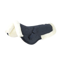 Ammortizzatore Equithème Pro air Nero Ammortizzatore Equithème Pro air Nero