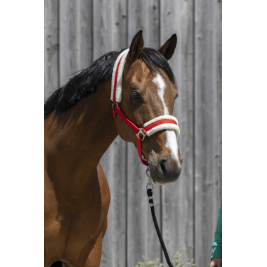 Capestro Riding World in montone sintetico Rosso Capestro Riding World in montone sintetico Rosso