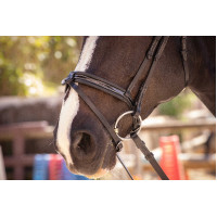 Bridon Pénélope Smoothie Avana Marrone