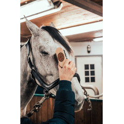 Spazzola per la testa Borstiq