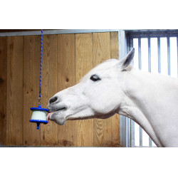 Supporto per pietra di sale Likit 650 g Blu