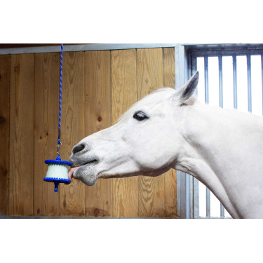 Supporto per pietra di sale Likit 650 g Blu