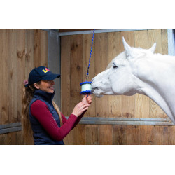 Supporto per pietra di sale Likit 650 g Blu