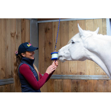 Supporto per pietra di sale Likit 650 g Blu