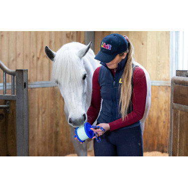 Supporto per pietra di sale Likit 650 g Blu