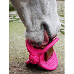 Giocattolo Bizzy Ball Likit Fucsia Rosa