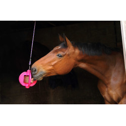 Giocattolo Bizzy Ball Likit Fucsia Rosa