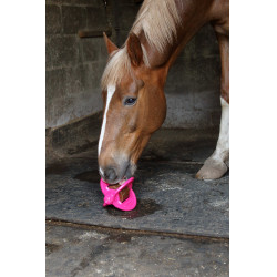 Giocattolo Bizzy Ball Likit Fucsia Rosa