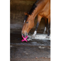 Giocattolo Bizzy Ball Likit Fucsia Rosa