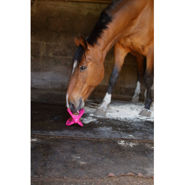 Giocattolo Bizzy Ball Likit Fucsia Rosa