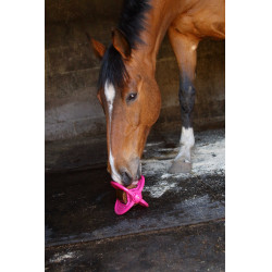 Giocattolo Bizzy Ball Likit Fucsia Rosa