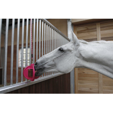 Giocattolo Bizzy Ball Likit Fucsia Rosa