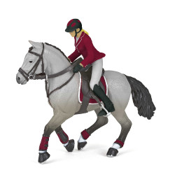 Cavallo da concorso e la sua cavallerizza Papo