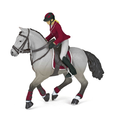 Cavallo da concorso e la sua cavallerizza Papo