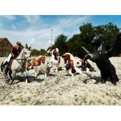 Cavallo da concorso e la sua cavallerizza Papo