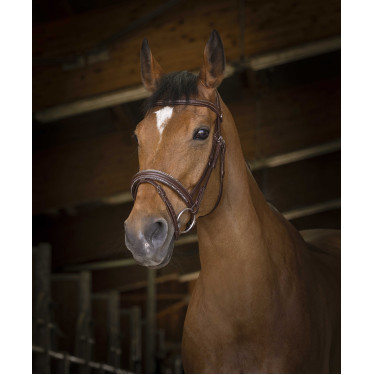 Bridon Norton Pro Rock Avana Marrone