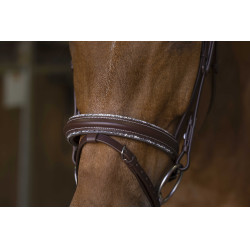 Bridon Norton Pro Rock Avana Marrone