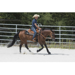 Sella Westride by Franck Perret Aurora Nocciola Marrone Sella Westride by Franck Perret Aurora Nocciola Marrone