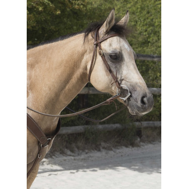 Bridon Westride di Franck Perret Colorado Cioccolato Marrone