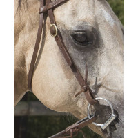 Bridon Westride di Franck Perret Colorado Cioccolato Marrone Bridon Westride di Franck Perret Colorado Cioccolato Marrone