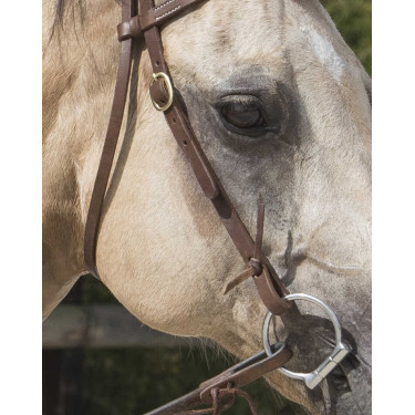 Bridon Westride di Franck Perret Colorado Cioccolato Marrone