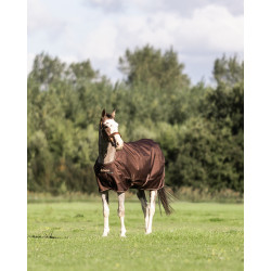 Coperta Bucas Irish Turnout 300 g con copricollo Espresso Marrone Coperta Bucas Irish Turnout 300 g con copricollo Espresso Marrone