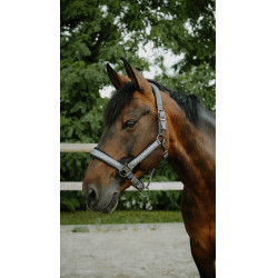 Capezzina Equithème Glowy Nero / nero Capezzina Equithème Glowy Nero / nero