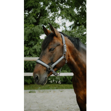 Capezzina Equithème Glowy Nero / nero Capezzina Equithème Glowy Nero / nero