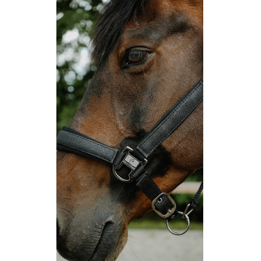 Capezzina Equithème Glowy Nero / nero Capezzina Equithème Glowy Nero / nero